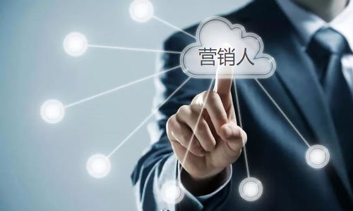 營銷人必備能力與軟件信息技術服務應用